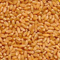 WHEAT WHOLE 1kg