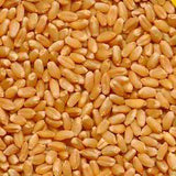 WHEAT WHOLE 1kg