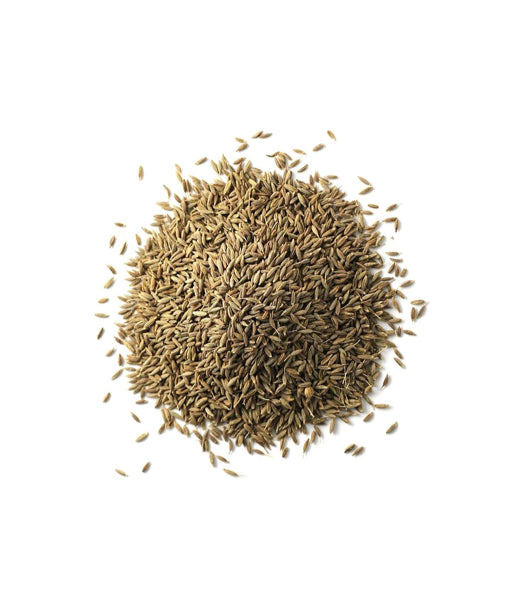 Cumin Seeds (IND)-(Seeragam)