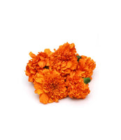 Orange Marigold